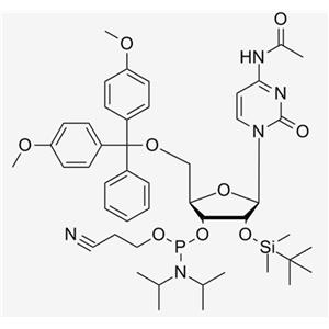 2'-O-TBDMS-C(Ac) CE Phosphoramidite;Ac-rC