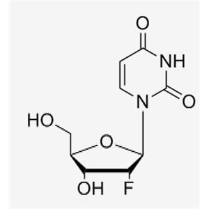 2'-F-2'-deoxyuridine；2‘-F-dU