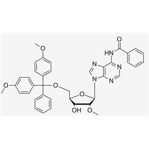 5'-O-DMT-2'-O-Me-N6-Bz-Adenosine;5'-DMT-2-OMe-A