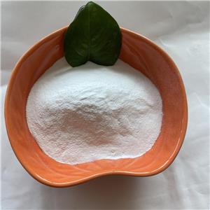 Oxacillin sodium monohydrate