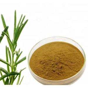 Rosemary extract powder