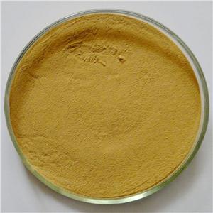 Ginger extract powder