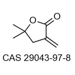 5,5-dimethyl-3-methylenedihydrofuran-2(3H)-one