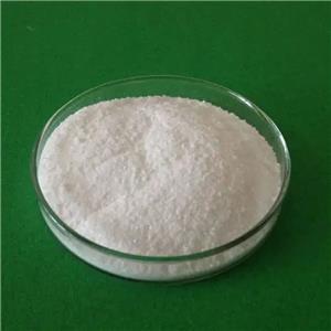 Proparacaine Hydrochloride