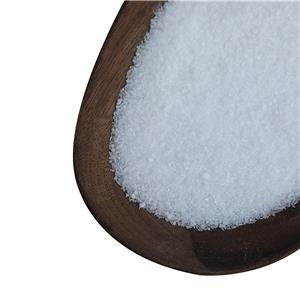 1-NONANESULFONIC ACID SODIUM SALT