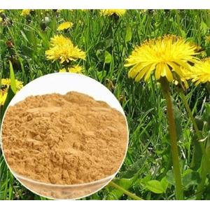 St. John′s Wort Extract