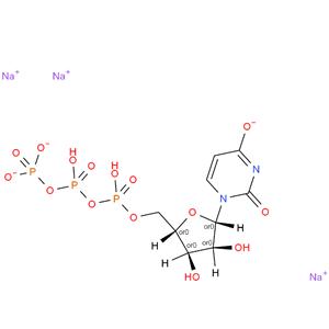 Uridine 5’-triphosphate trisodium salt UTP-Na3