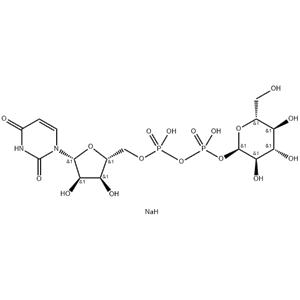 Uridine 5'-diphosphoglucose disodium salt