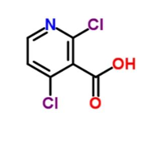 2,4-Dichloronicotinic acid