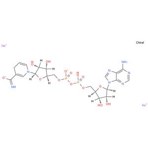 β-Nicotinamide Adenine Dinucleotide Disodium Salt, Reduced Form