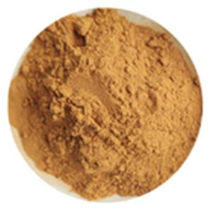 Ginseng leaf extract, ginsenoside