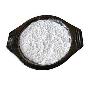 cloquintocet-mexyl