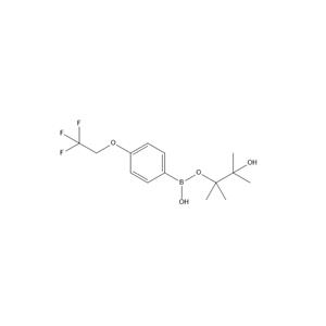 4-(2,2,2-Trifluoroethoxy)phenylboronic acid pinacol ester