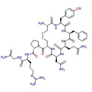 Argipressin