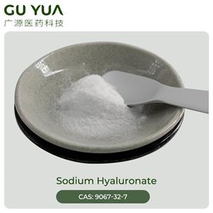 Sodium Hyaluronate