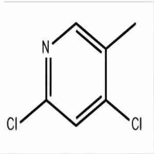 2,4-Dichloro-5-Methylpyridine