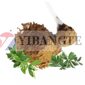 DAUCUS CAROTA SATIVA (CARROT) ROOT EXTRACT