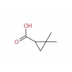 2,2-Dimethylcyclopropanecarboxylic acid