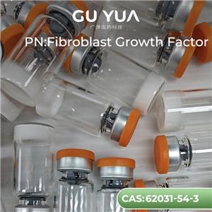 Fibroblast Growth Factor