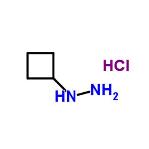 Cyclobutylhydrazine hydrochloride (1:1)