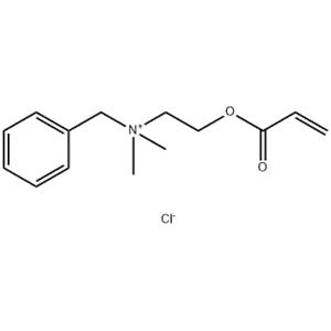 benzyldimethyl[2-[(1-oxoallyl)oxy]ethyl]ammonium chloride