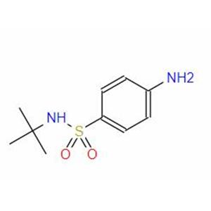 N-tert-Butyl-4-aminobenzenesulfonamide