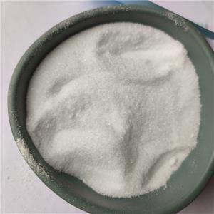 Dimethocaine Hydrochloride