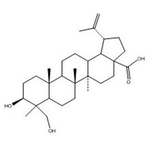 23-HYDROXYBETULINIC ACID