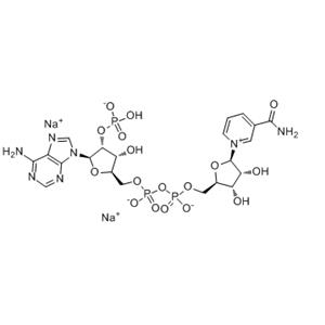 Pyridoxal 5'-phosphate monohydrate; P5P