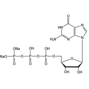 Guanosine-5’-triphosphate disodium salt（GTP-Na2）