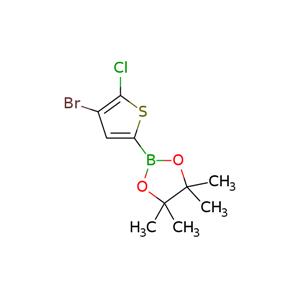 4-Bromo-5-chlorothiophen-2-boronic Acid pinacol ester
