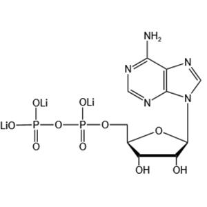 Adenosine 5’-diphosphate trilithium salt（ADP-Li3）