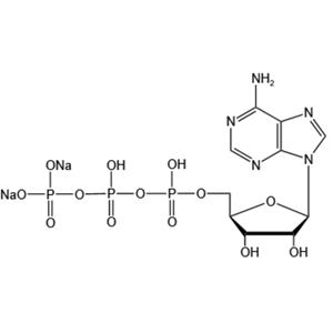Adenosine 5’-triphosphate disodium salt（ATP-Na2）