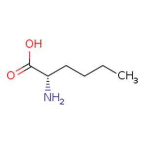 2-Aminohexanoic acid