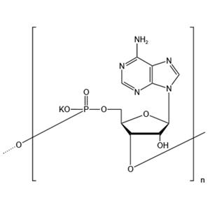 Polyadenosinic acid potassium salt (PA-K)