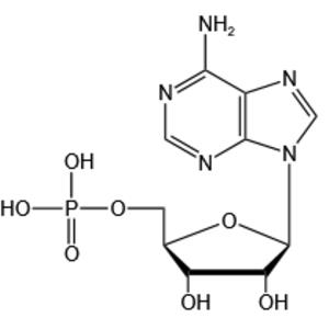Adenosine 5’-monophosphate（AMP-H）