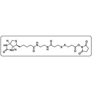 Biotin-bisamido-SS-NHS ester