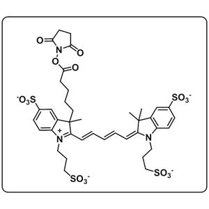 AF 647 NHS ester