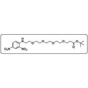 DNP-PEG4-COOtBu