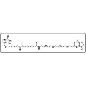 Biotin-LC-PEG4-NHS ester
