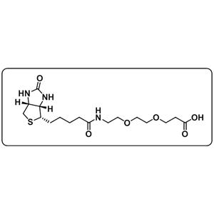 Biotin-PEG2-COOH