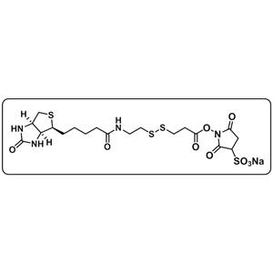 Biotin-SS-Sulfo-NHS ester
