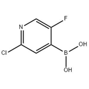 2-CHLORO-5-FLUOROPYRIDINE-4-BORONIC ACID