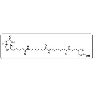 Biotin-XX Tyramide Reagent