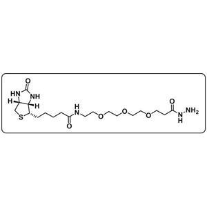 Biotin-PEG3-hydrazide