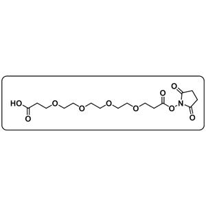 Acid-PEG4-NHS ester