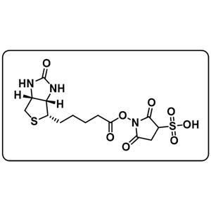 Biotin sulfo-N-hydroxysuccinimide ester