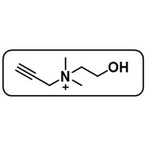 Alkyne-choline