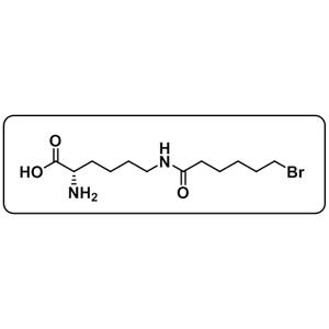 L-Lysine,N6-(6-bromo-1-oxohexyl)-
