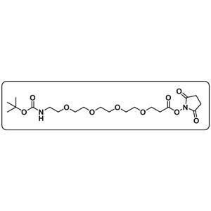 t-Boc-N-amido-PEG4-NHS ester